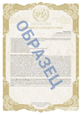 Образец Приложение к СТО 01.064.00220722.2-2020 Вырица Сертификат СТО 01.064.00220722.2-2020 